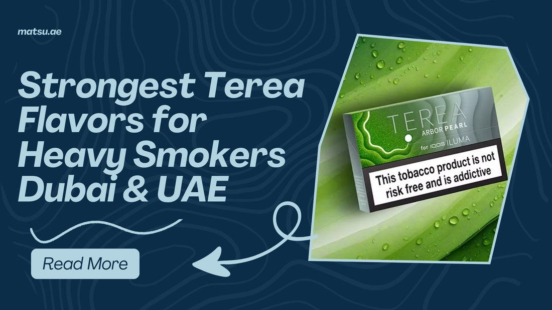 Strongest Terea Flavors for Heavy Smokers Dubai & UAE
