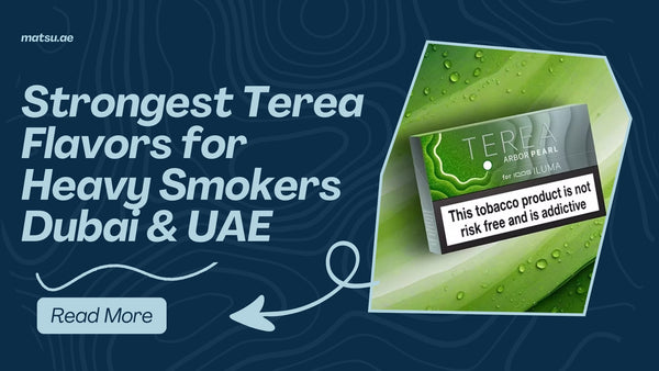 Strongest Terea Flavors for Heavy Smokers Dubai & UAE