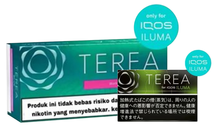 IQOS Terea Black Menthol Flavor