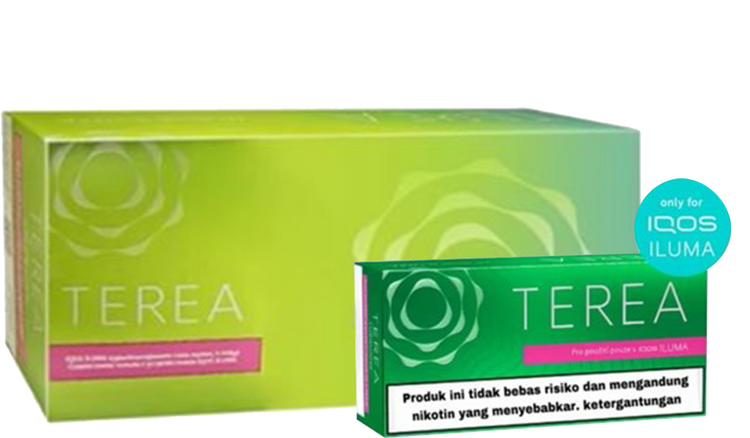 IQOS Terea Green Flavor