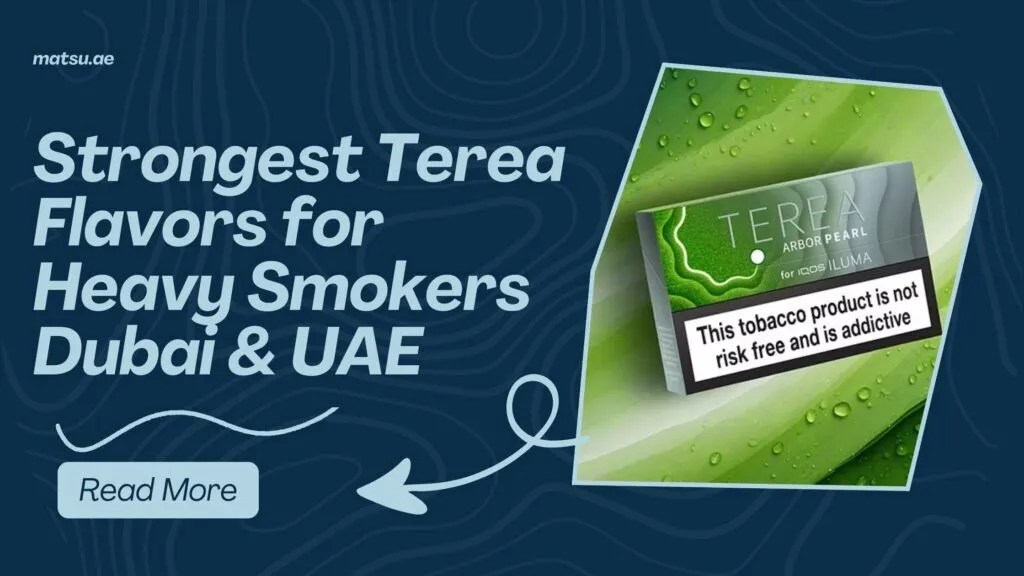 Strongest Terea Flavors for Heavy Smokers Dubai & UAE