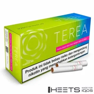 TEREA Bright Wave Indonesia box with menthol and bright flavour