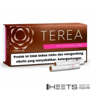 TEREA Bronze Indonesia box with tobacco and rich flavour