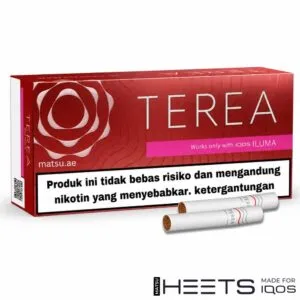 TEREA Sienna Indonesia box with tobacco and balanced flavour